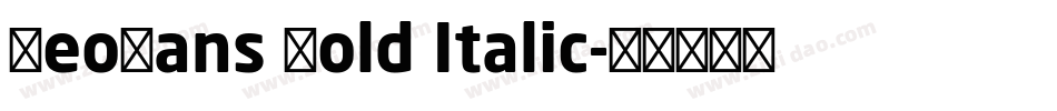 NeoSans Bold Italic字体转换